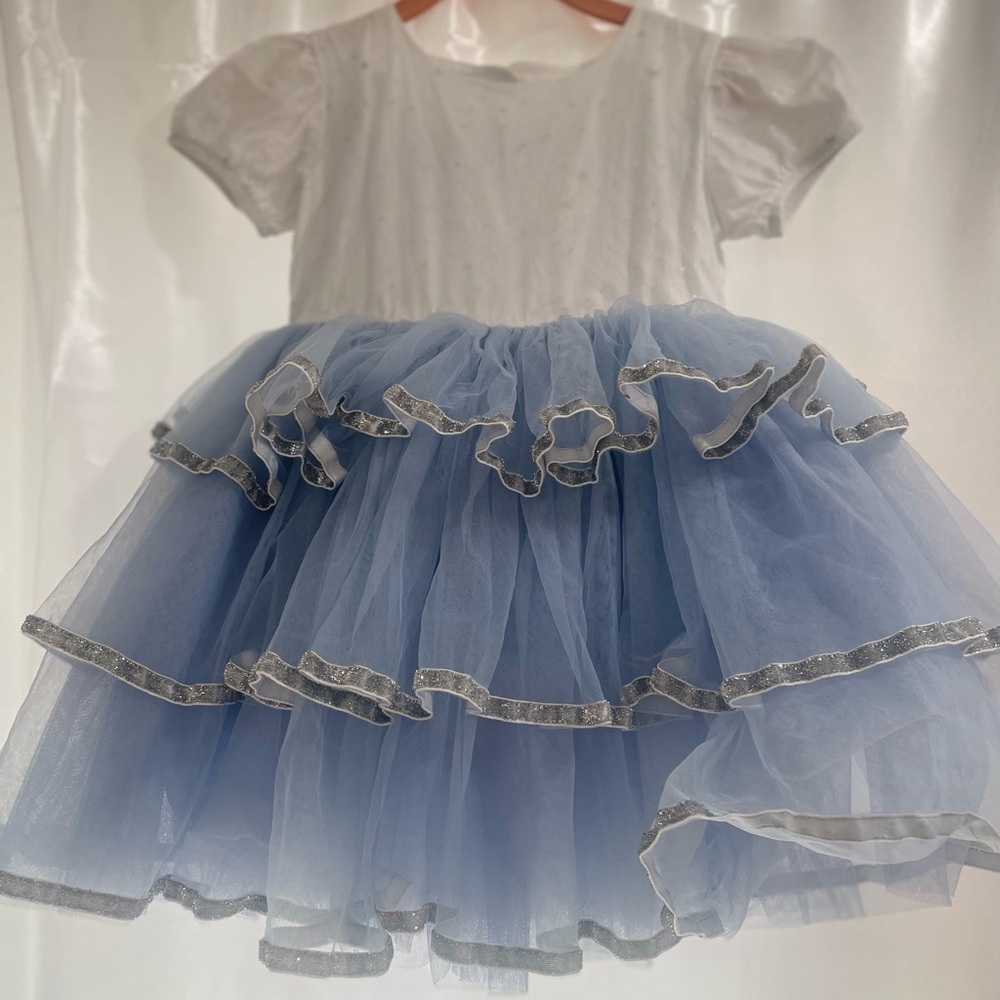 Frozen vintage dress